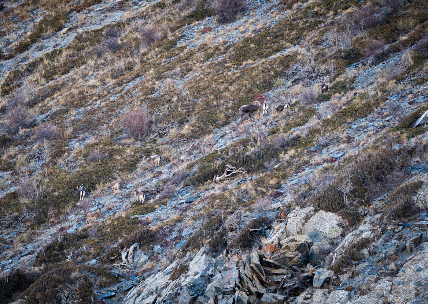 І знову Пакистан: все складно.