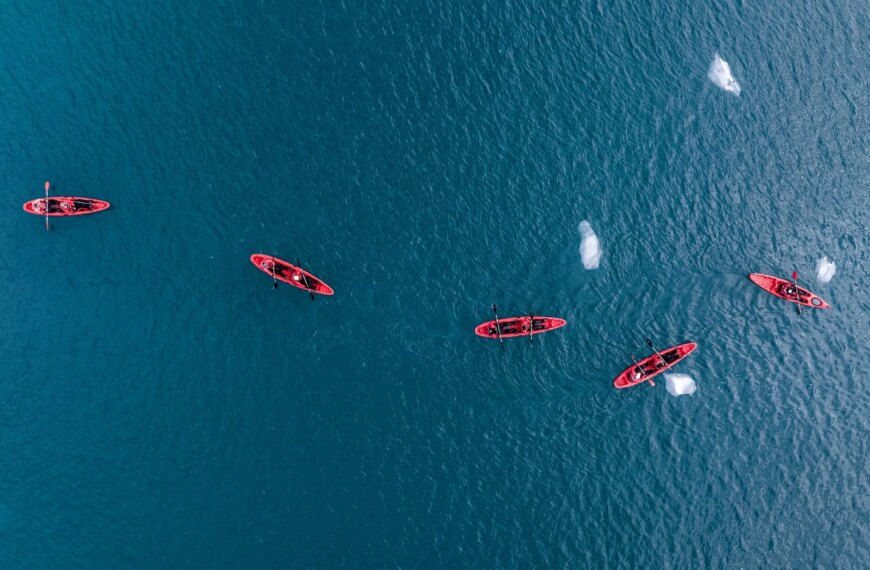 На мене напав морж під час катання на каяку на Шпіцбергені