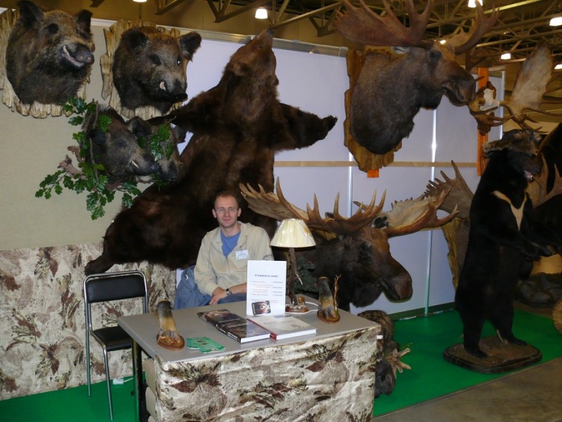 Поліпшувачі, красиві та способи їх придбання