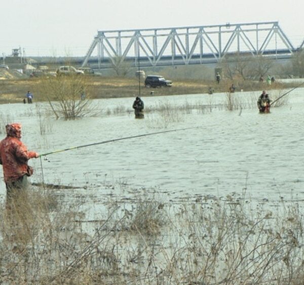 Окунь навесні на блешню