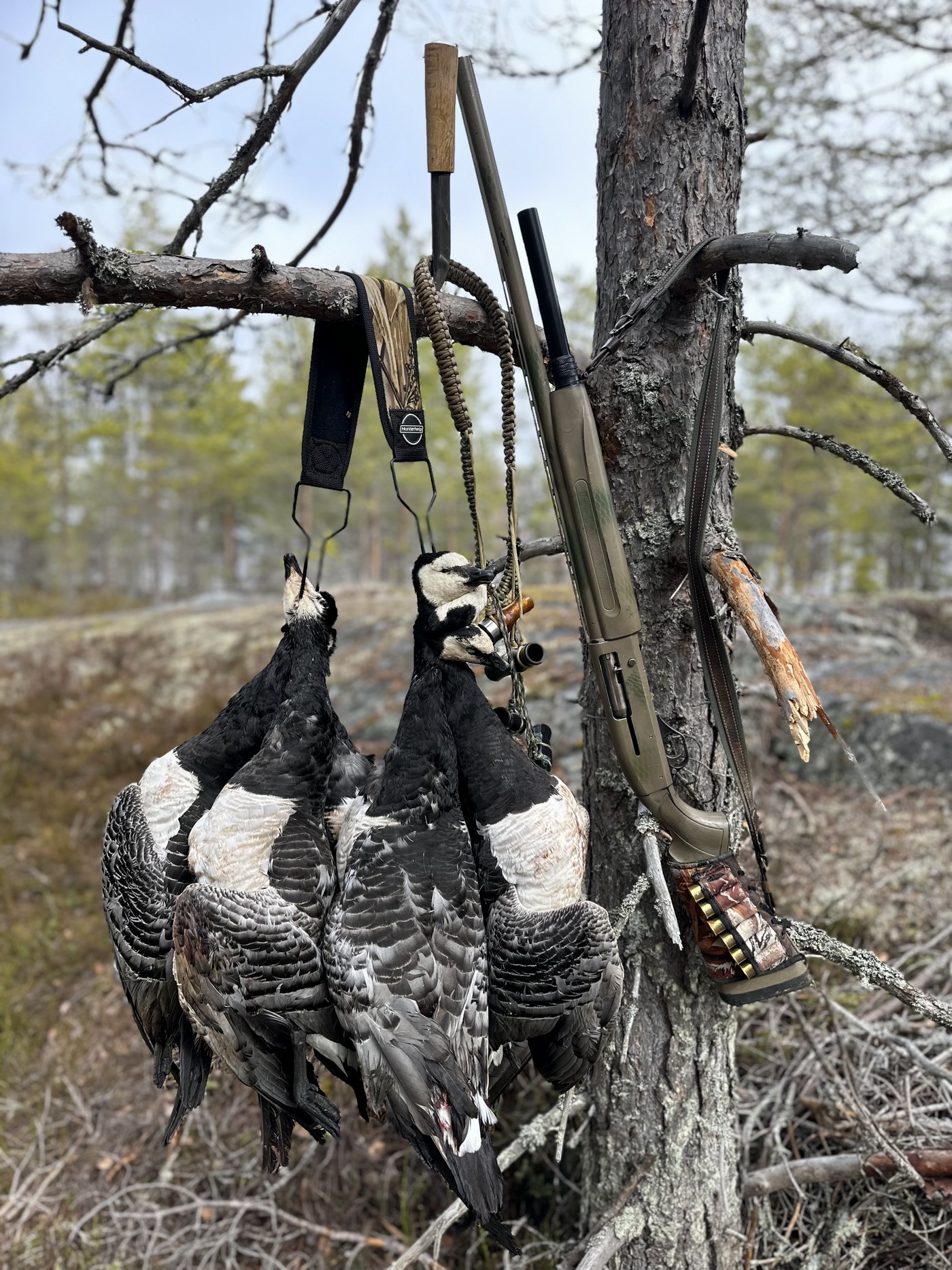 І море Біле, і щоки у казарки.