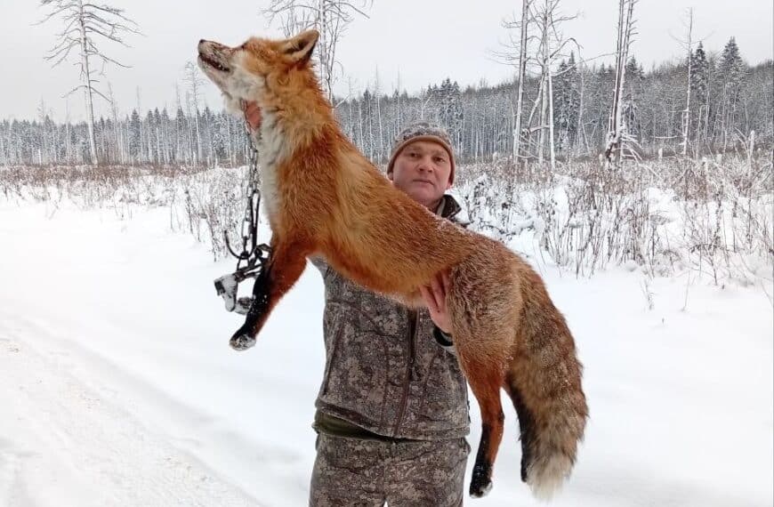 Спробуй такого зрозумій