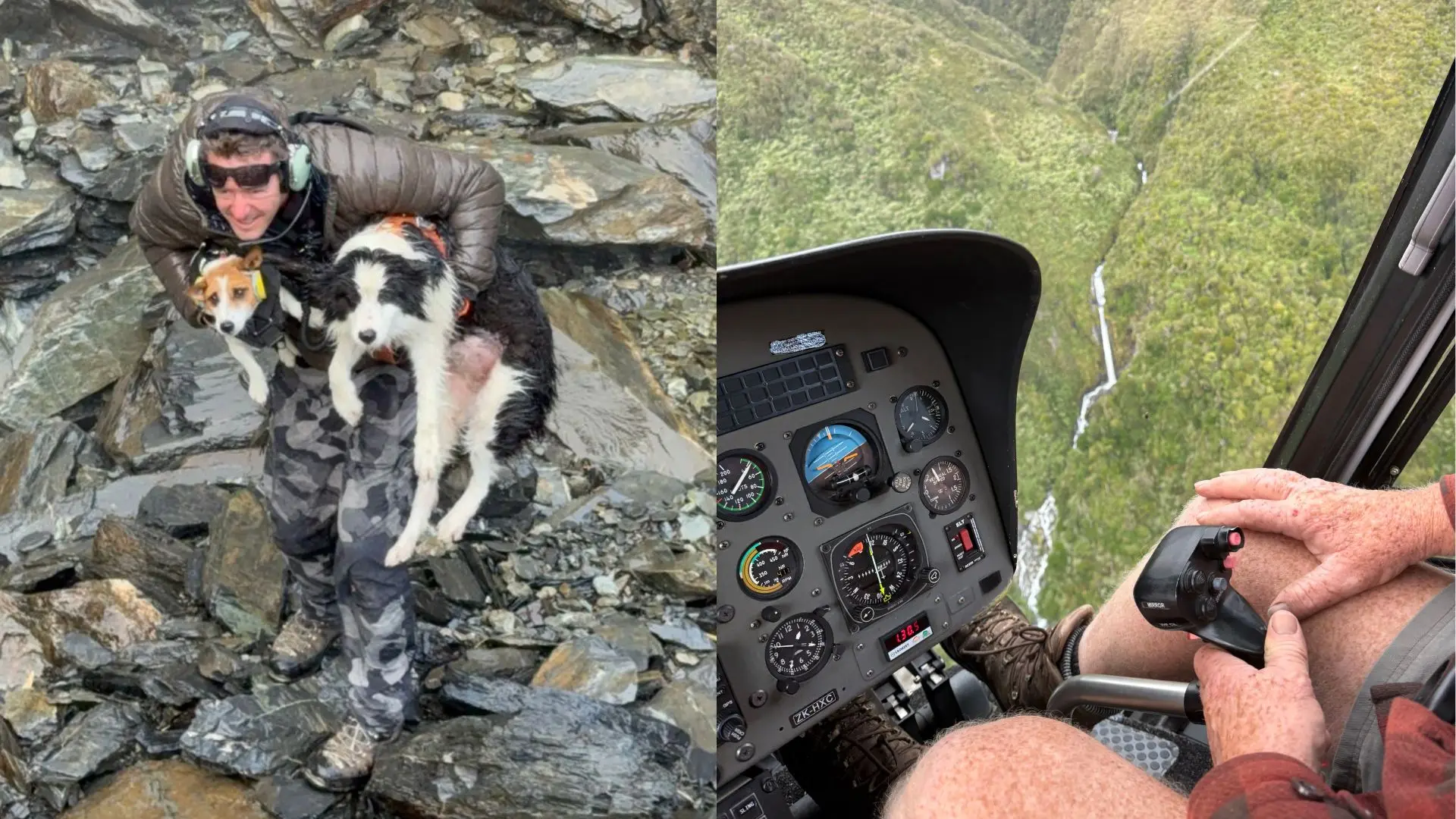 На одному фото Моллі несе рятувальник, а на іншому — водоспад, з якого, як вважають, вона впала.