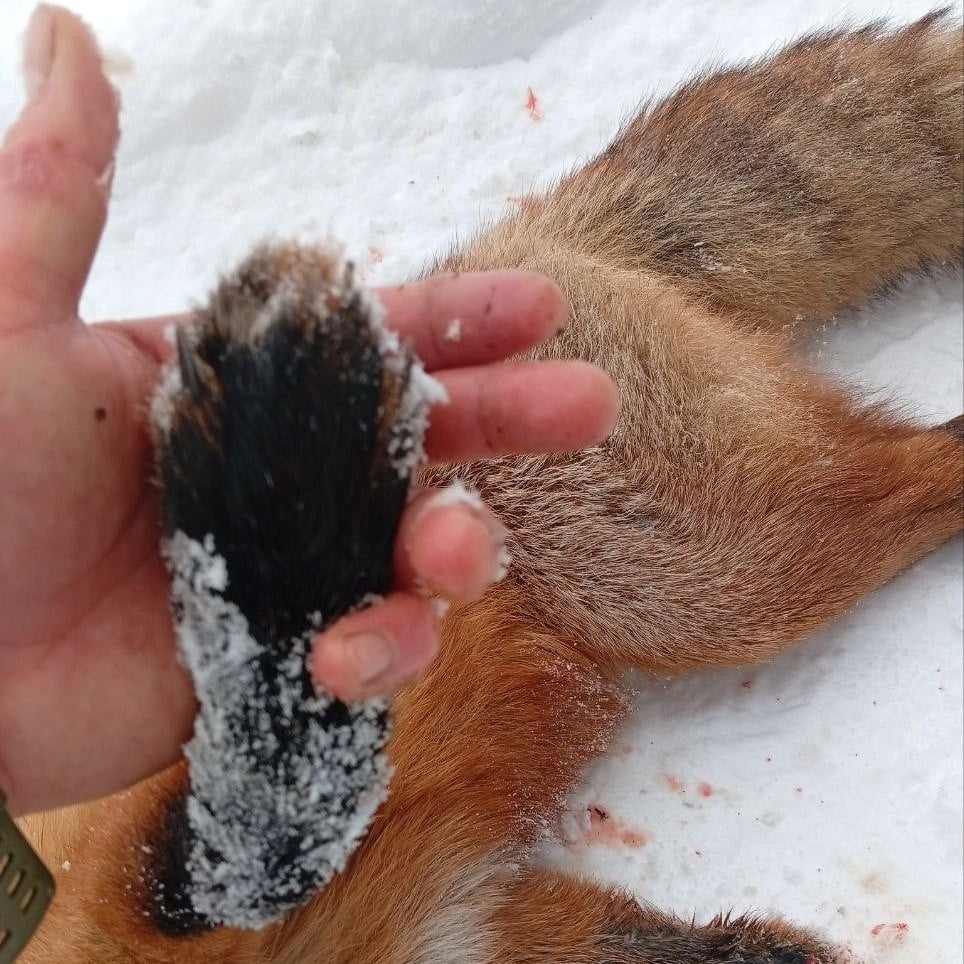 Спробуй такого зрозумій