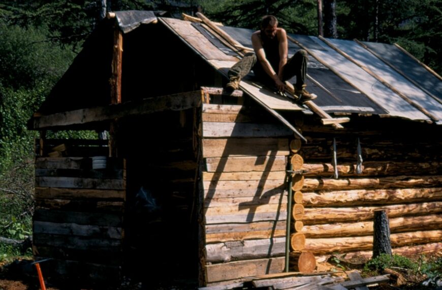 Будиночок у лісі: про що подумати заздалегідь