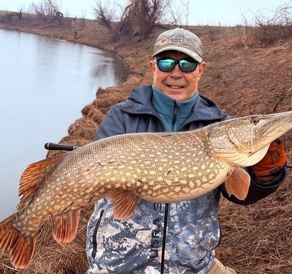 Це вони, не реалізовані клювання?