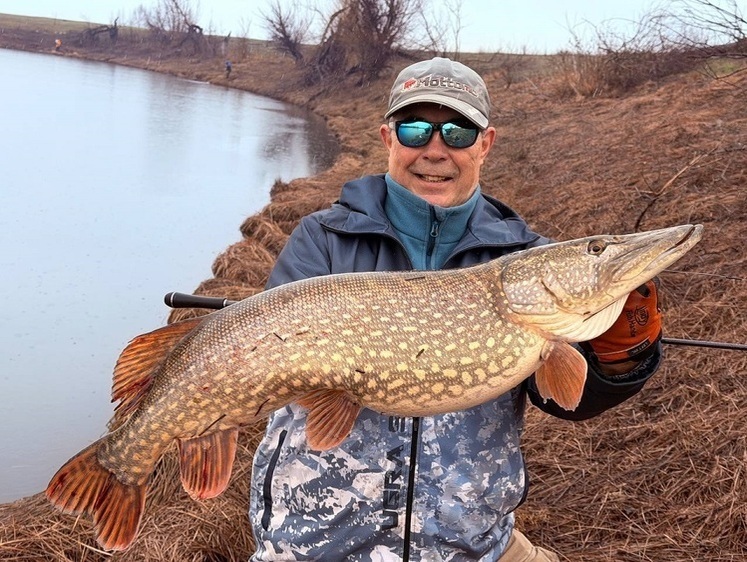 Це вони, не реалізовані клювання?