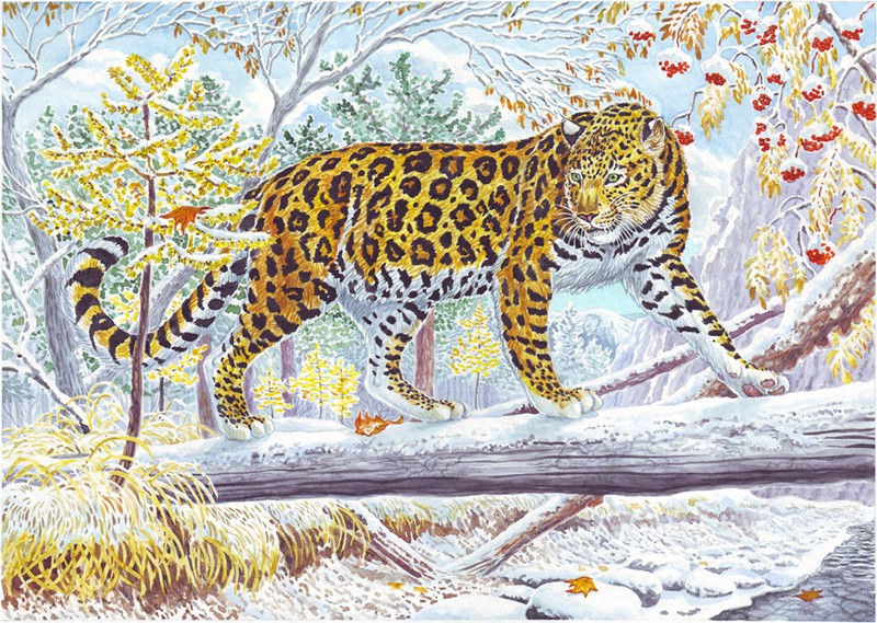 Микола Фомін – художник