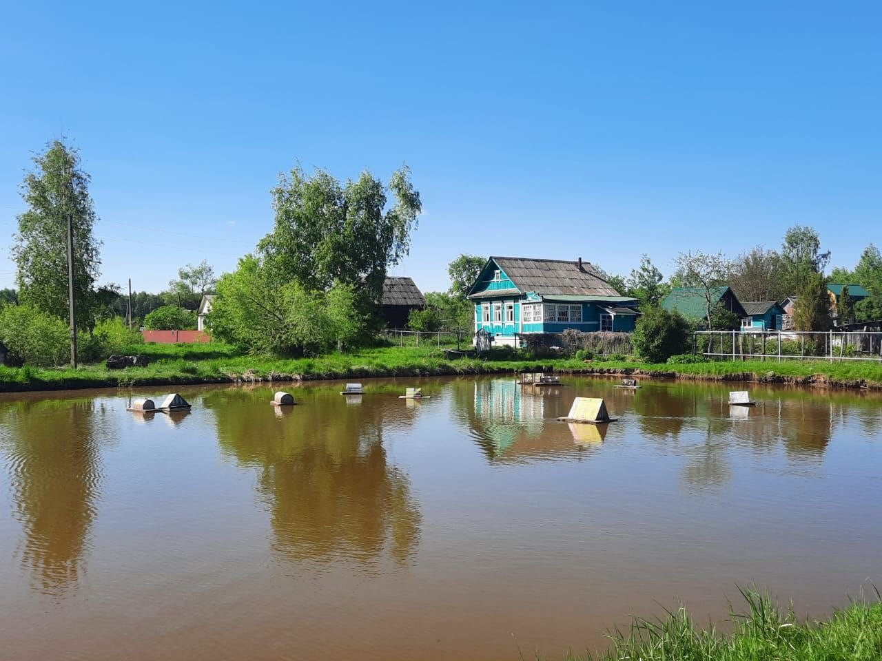 З підсадною качкою у Мещері
