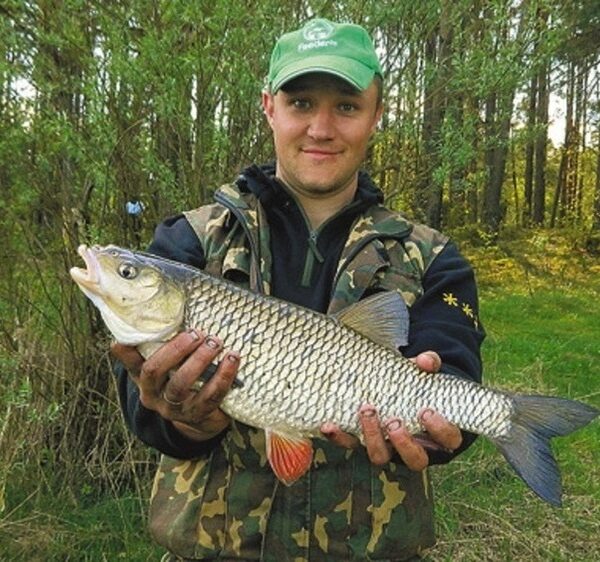 З бічним кивком за язем